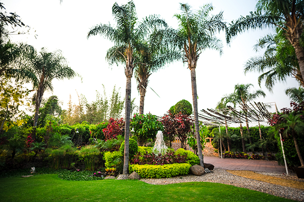 Jardín Paraiso Morelos